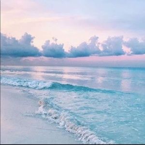 Meet your Posher, Ansley